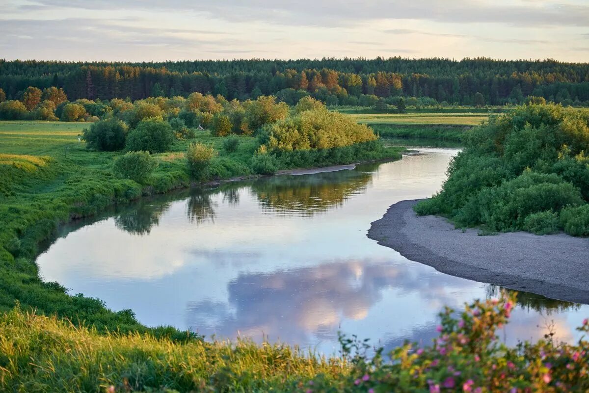 Жизнь это большая река. Сура Саранск река. Река Сура Пенза. Река Сура в Мордовии. Река Сура в Чувашии.