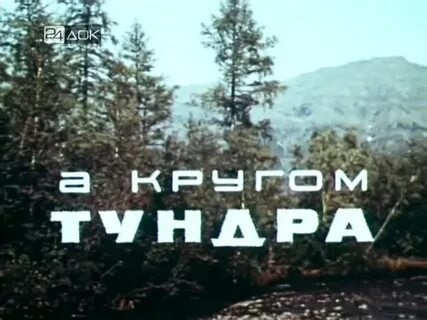 Тундра тайга кругом
