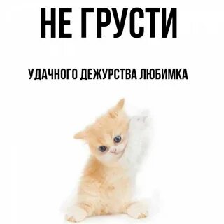 Прошу не грусти