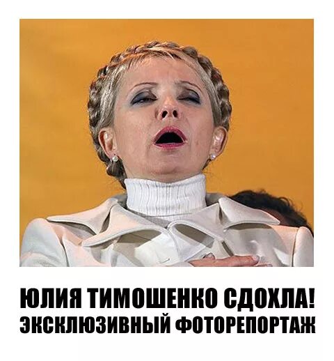 Передайте юле. Фотожабы с Юлией Тимошенко.