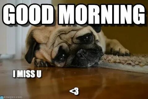 I miss the morning