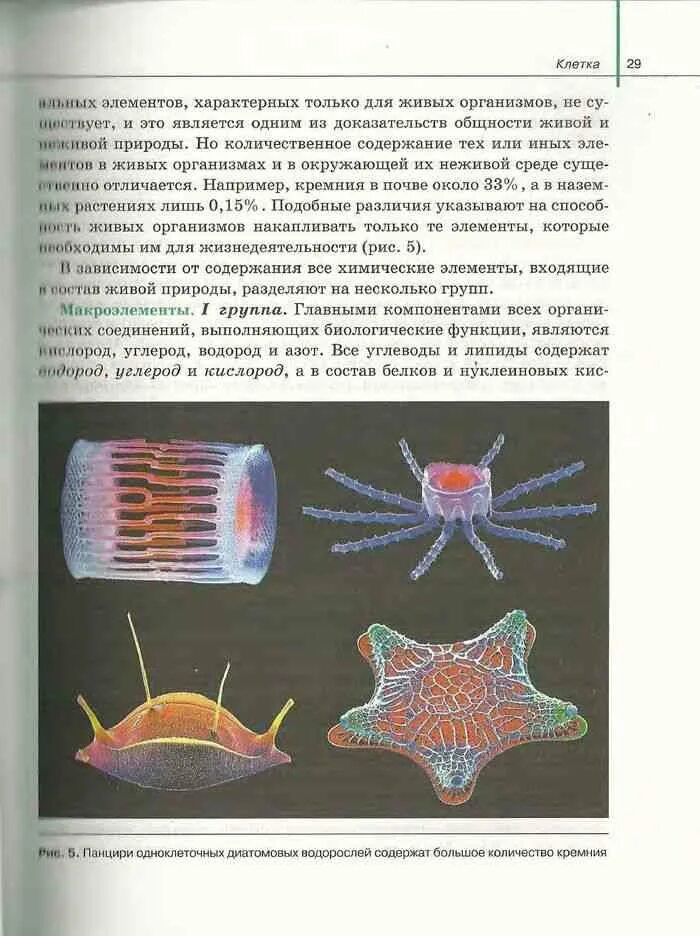 Темы по биологии 10 11