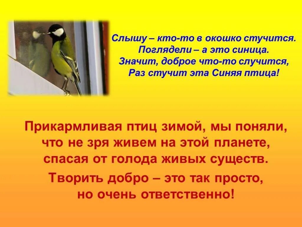 Стучит в окно примета. Птица стучит в окно примета. Птица стучится в окно примета. Синица стучит в окно примета. Примета если синица постучала в окно.