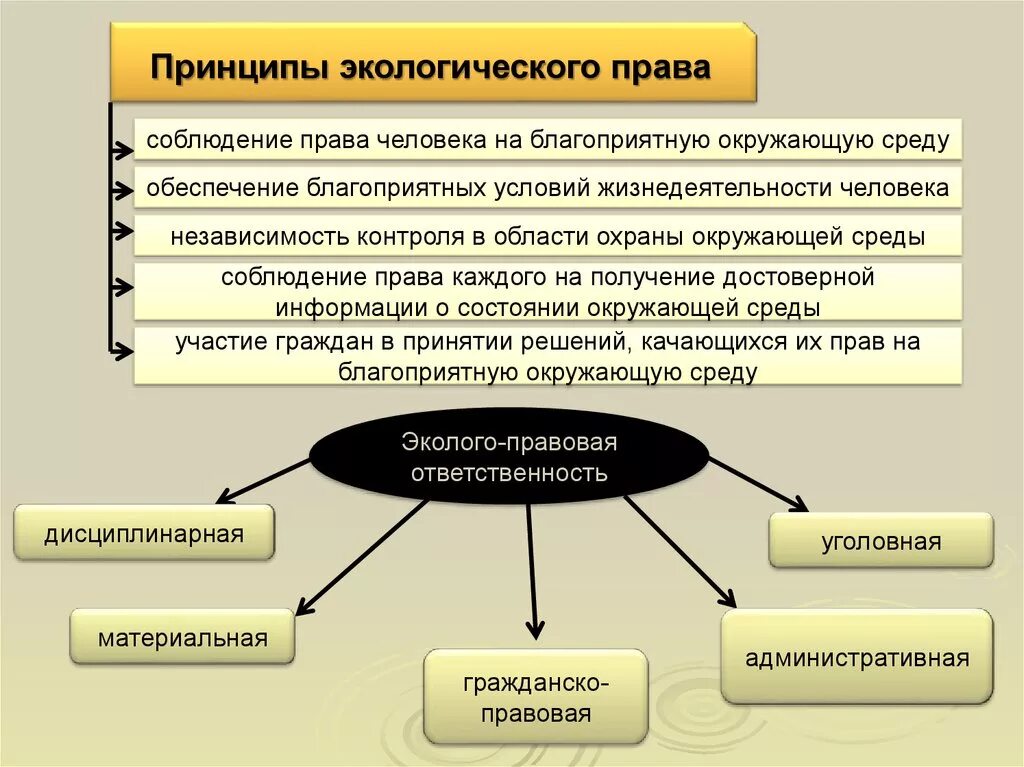 Природное законодательство. Принципы экологического права схема. Экологическое право. Экологические права. Экологическое право принципы.