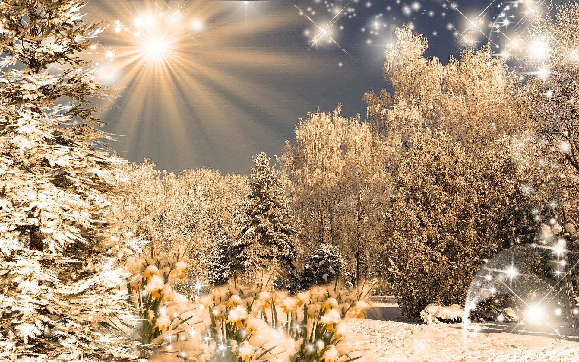 снежное чудо читать