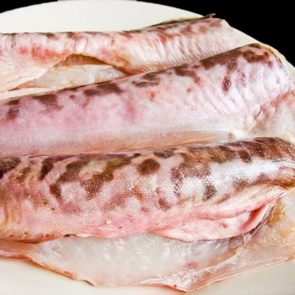 Commercial Fishing For Ling & Pink Ling (Genypterus species) Buying Ling Fish