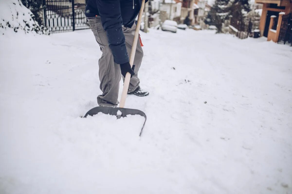 Зимний лес. Snowbreak: containment zone adjutant. Сша зимой. Snowbreak лого. Сугроб.