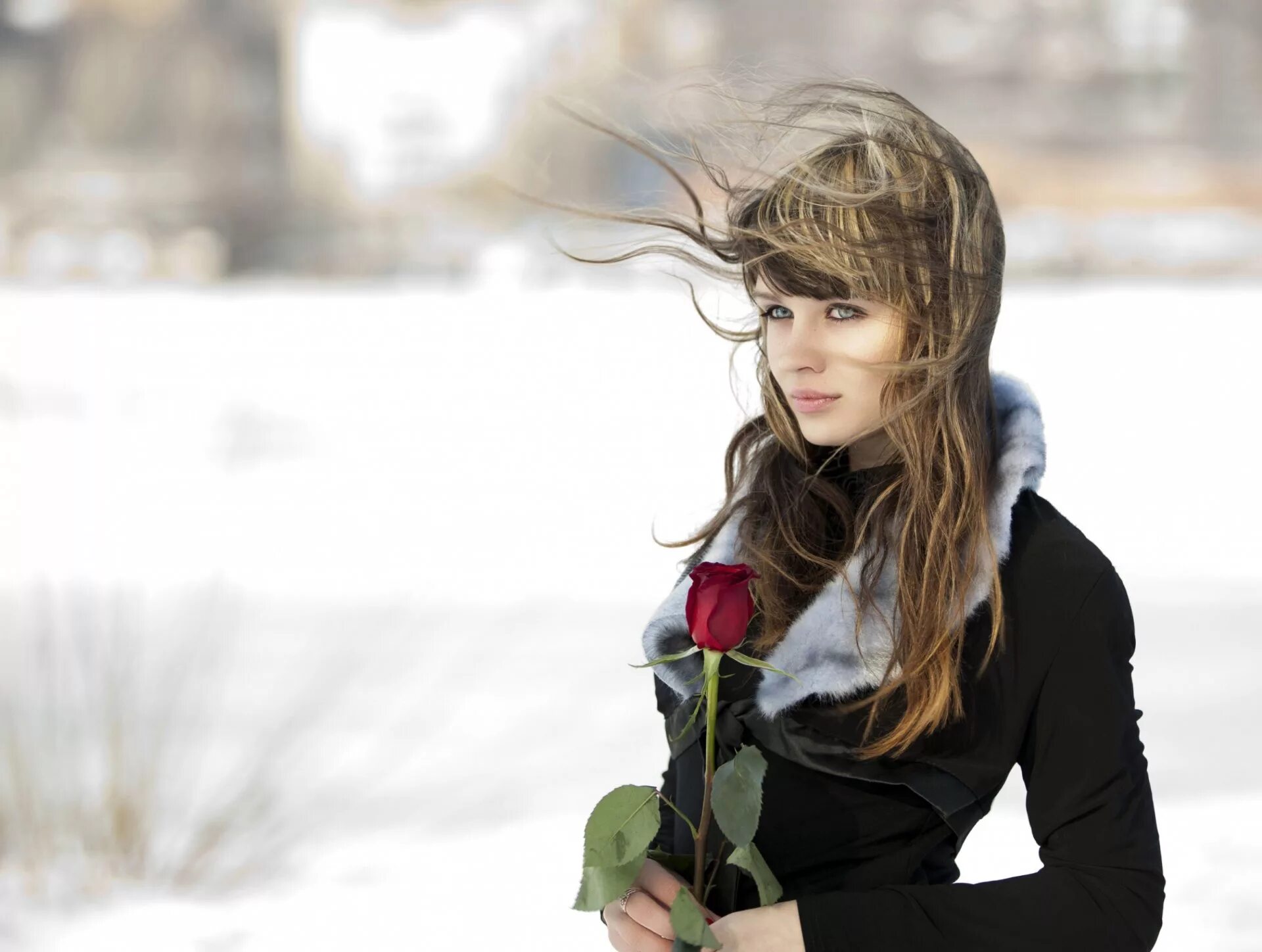 Исы девушка. Девушка. Девушка с розами зимой. Девушка с цветами на снегу.