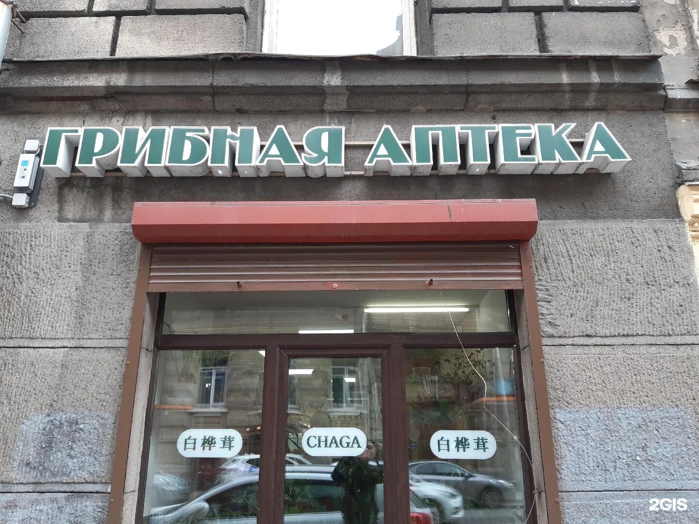 Аптека вишневского сайт. Грибная аптека в СПБ. Грибная аптека на Невском. Грибная аптека в СПБ Чайковского 51. Грибная аптека Вишневского.