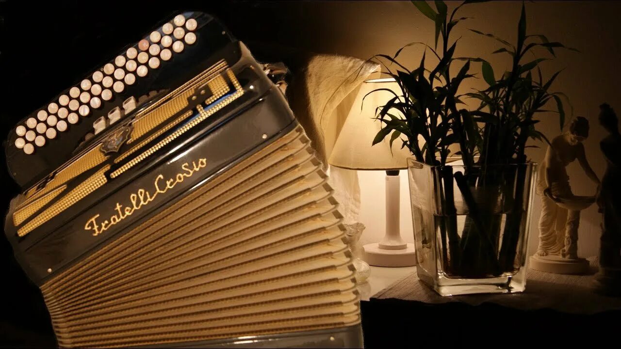 Баян песня душа. Musette Accordeon. Красивый аккордеон. "Романтический аккордеон". Баян и аккордеон.