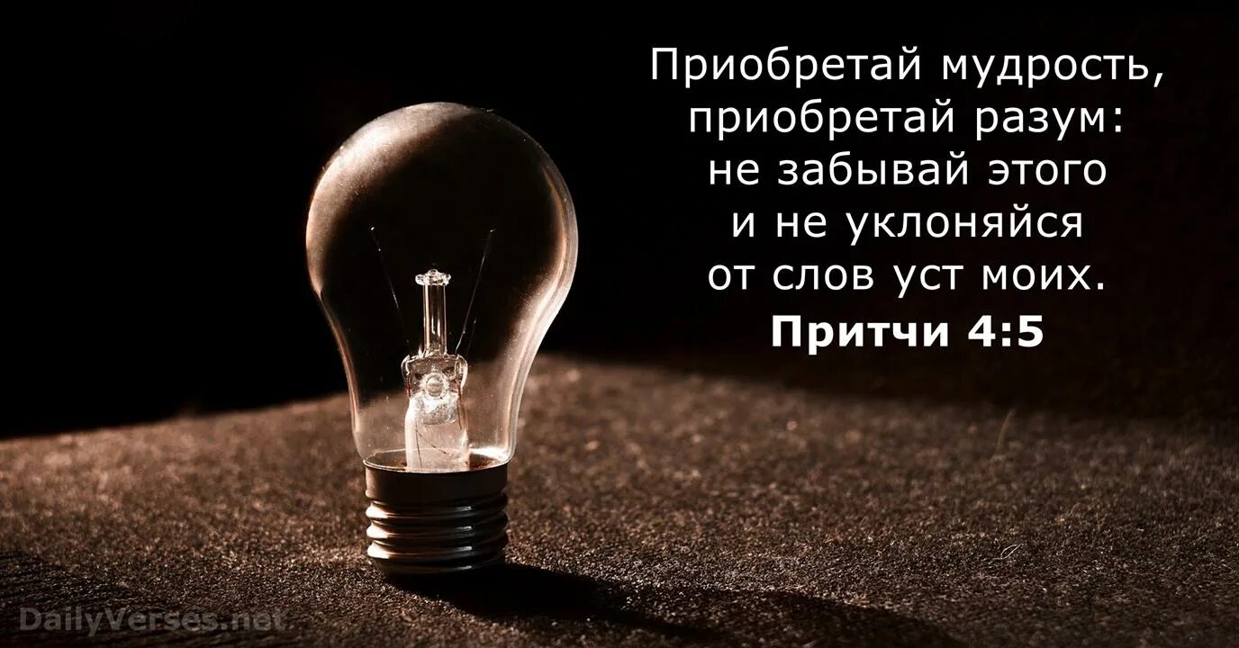 Приобретай разум и мудрость. Человек который снискал мудрость и человек который приобрел разум. Приобретай мудрость приобретай разум. Блажен человек который снискал мудрость. Приобрести мудрость.
