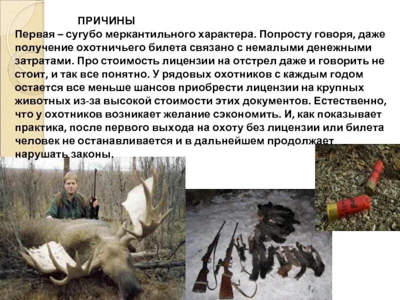 Решение браконьерства. Презентация на тему браконьерство. доклад на тему браконьерство. проект на тему браконьерство. причины браконьерства.