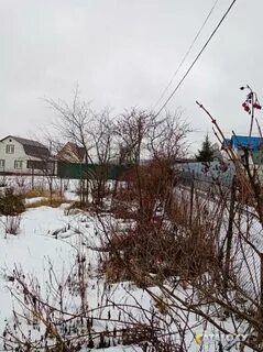 Цмис солнечногорск