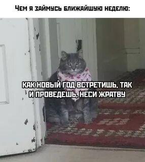 Пригласили в гости и ушли