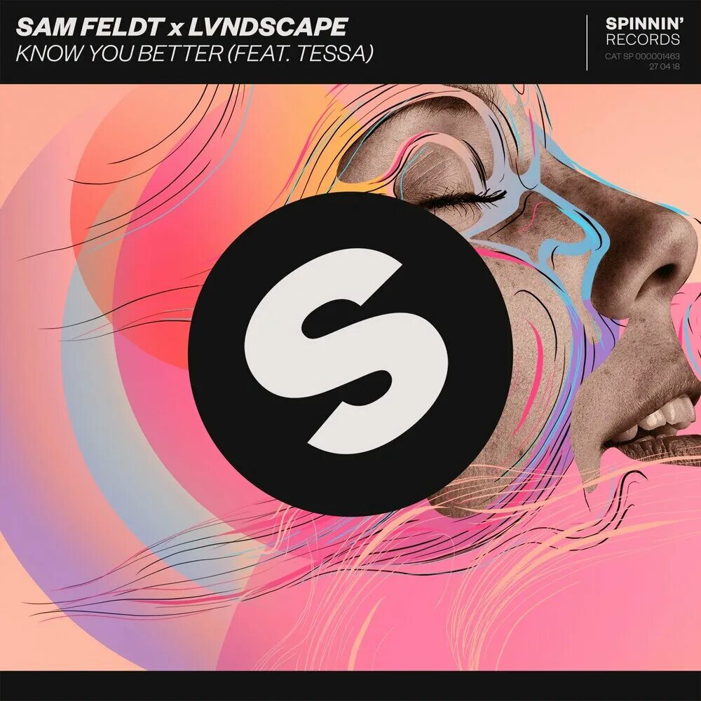 Spinnin. Sam Feldt. Spinnin records. Spinnin records обложки. You better you can also