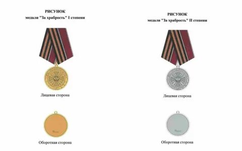 Медаль за храбрость 2024