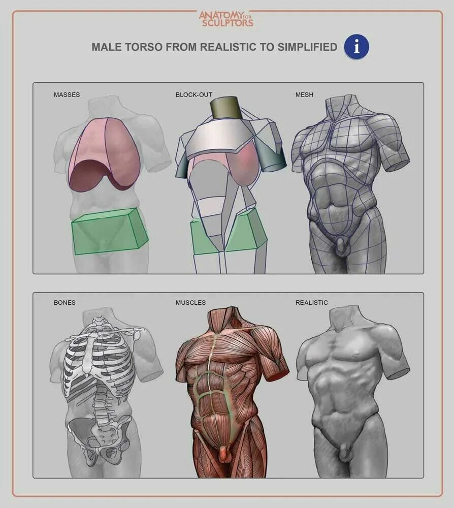 Reference ts