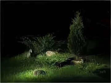 Сад ночью. Валенте. В ночном саду прозрачно и светло текст. В ночном саду прозрачно и светло. В ночном саду.