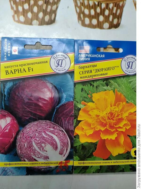 семена цветов фирмы престиж. семена перца фирмы престиж. японская линия семена томатов. престиж семена интернет. семена лук стерлинг f1.