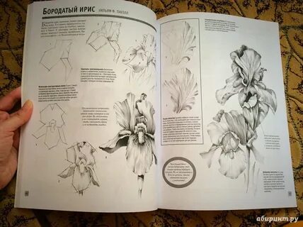 Книги лучшие уроки