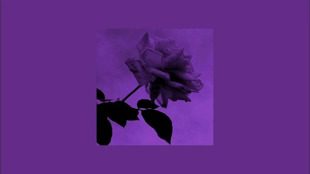 Shadow lady metamorphosis slowed. Shadow lady metamorphosis slowed. Shadow lady обложка. Shadow lady portwave. Shadow lady metamorphosis slowed.