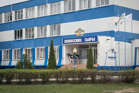 Город хойники