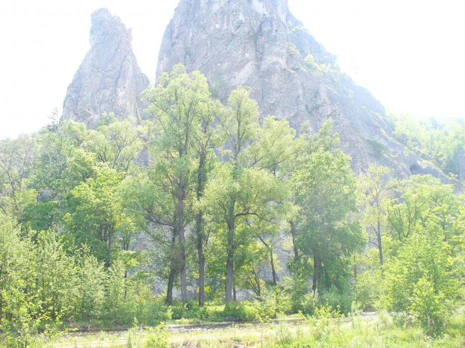 Кавалерово приморский край купить. Скала Дерсу Узала в Кавалерово. Скала Кавалерово. Кавалерово Приморье. Приморский край Кавалерово скала Дерсу.