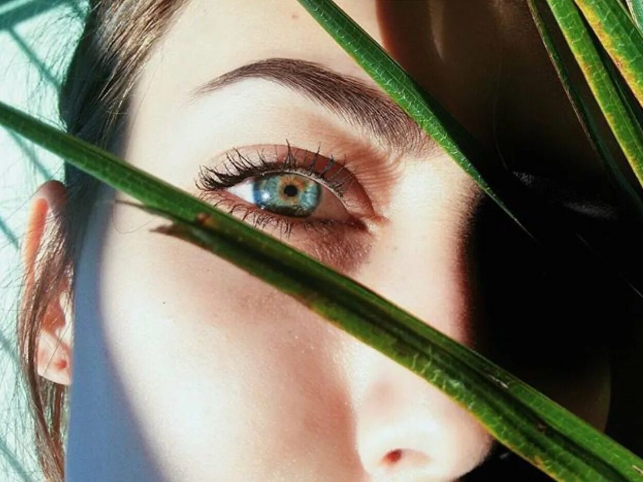 Зелёные глаза Эстетика. Зеленые красивые глаза Эстетика. Глаза девушки. Глаз девушки Эстетика.