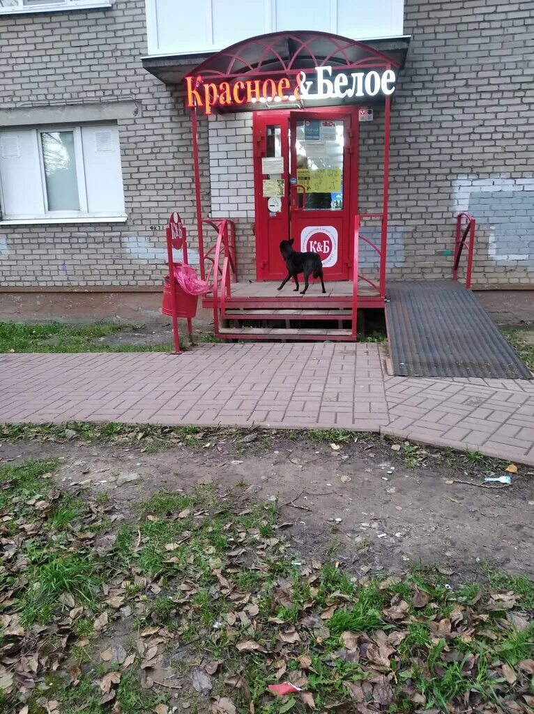 Проспект строителей 2 череповец. Красное белое парковая череповец. Красное и белое вологда. Белый череповец. Белый череповец.