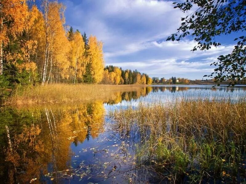 Реки россии осенью. Осень река. Осеннее озеро. Осень лес река. Река осенью.