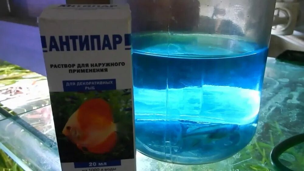 Лечение в общем аквариуме. Лекарство для аквариумных рыбок от плавниковой гнили. антипар для аквариума. лекарство для аквариумных рыб антипар. средство от плавниковой гнили в общем аквариуме.