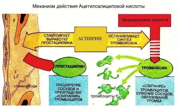 Аспирин механизм действия. Механизм антиагрегационного действия аспирина:. Ацетилсалициловая кислота механизм действия. Механизм действия ацетилсалициловой кислоты схема. Механизм действия аспирина