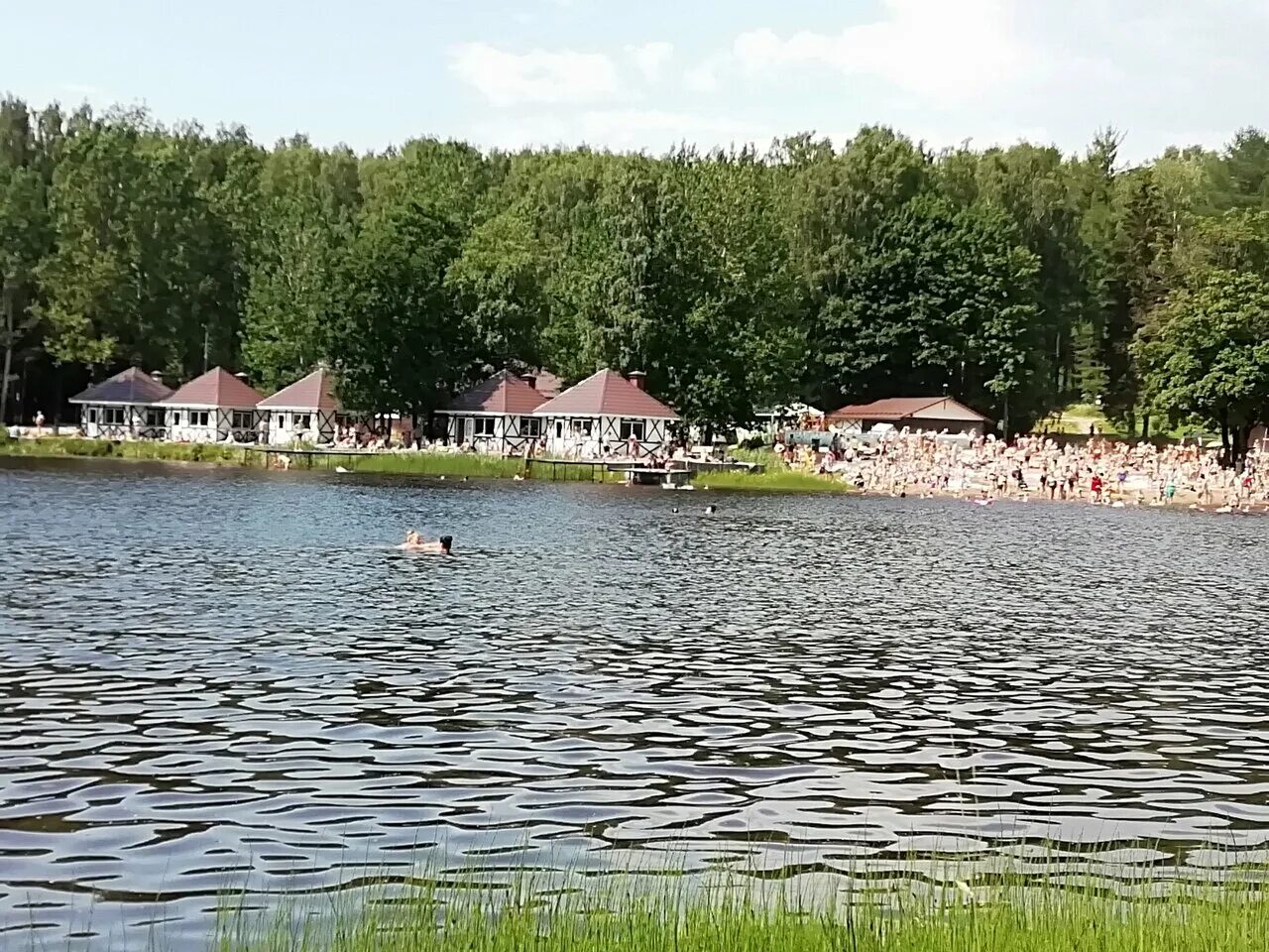 Колтуша