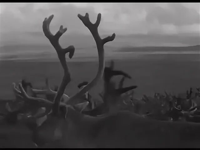 Там за горизонтом самоцветы. Самоцветы - там за облаками (1995). Самоцветы группа состав 1973. Небо за облаками. Самоцветы - там за облаками (1995).