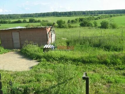 Погода в приветнинском ленинградской