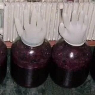 Вино из винограда рецепт пошагово