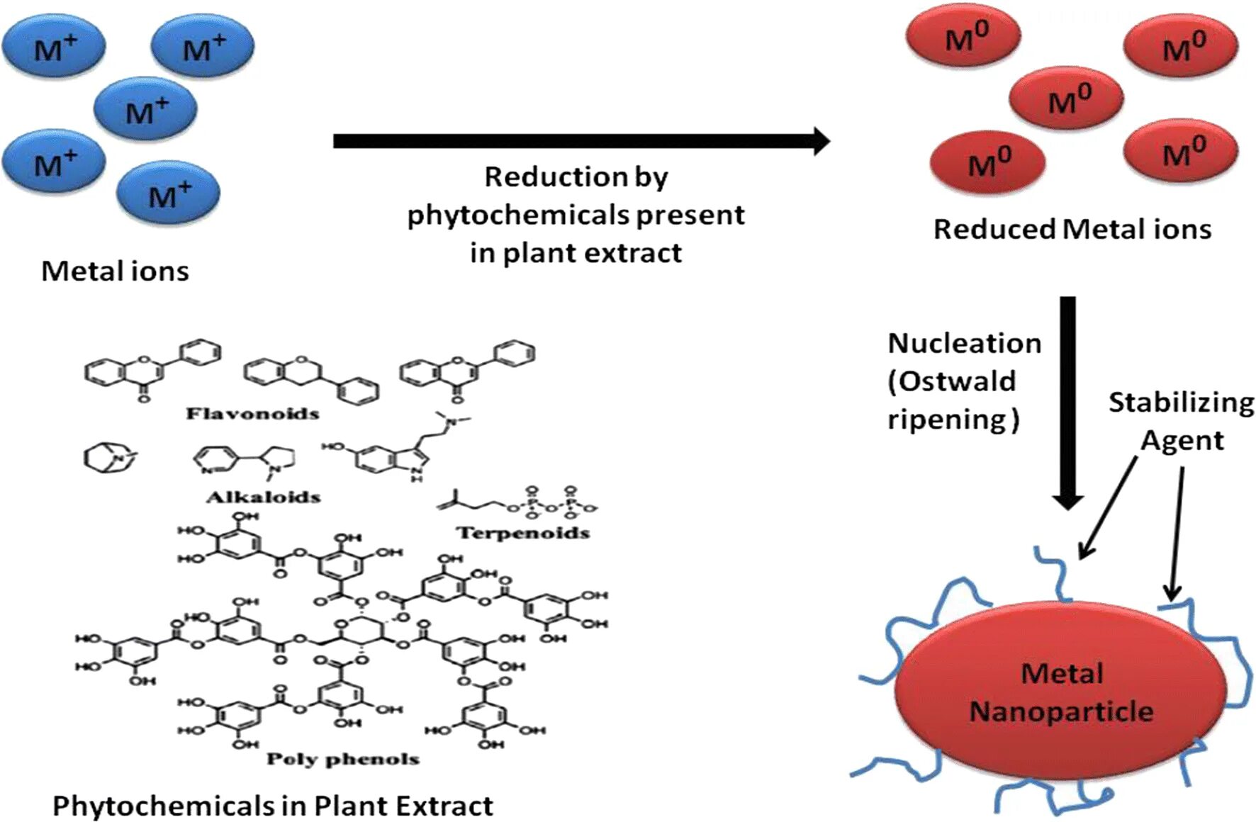 Synthesis of metals. Metal nanoparticle. reduction metal ions. green synthesis for nanoparticles. hydrated metal ions.