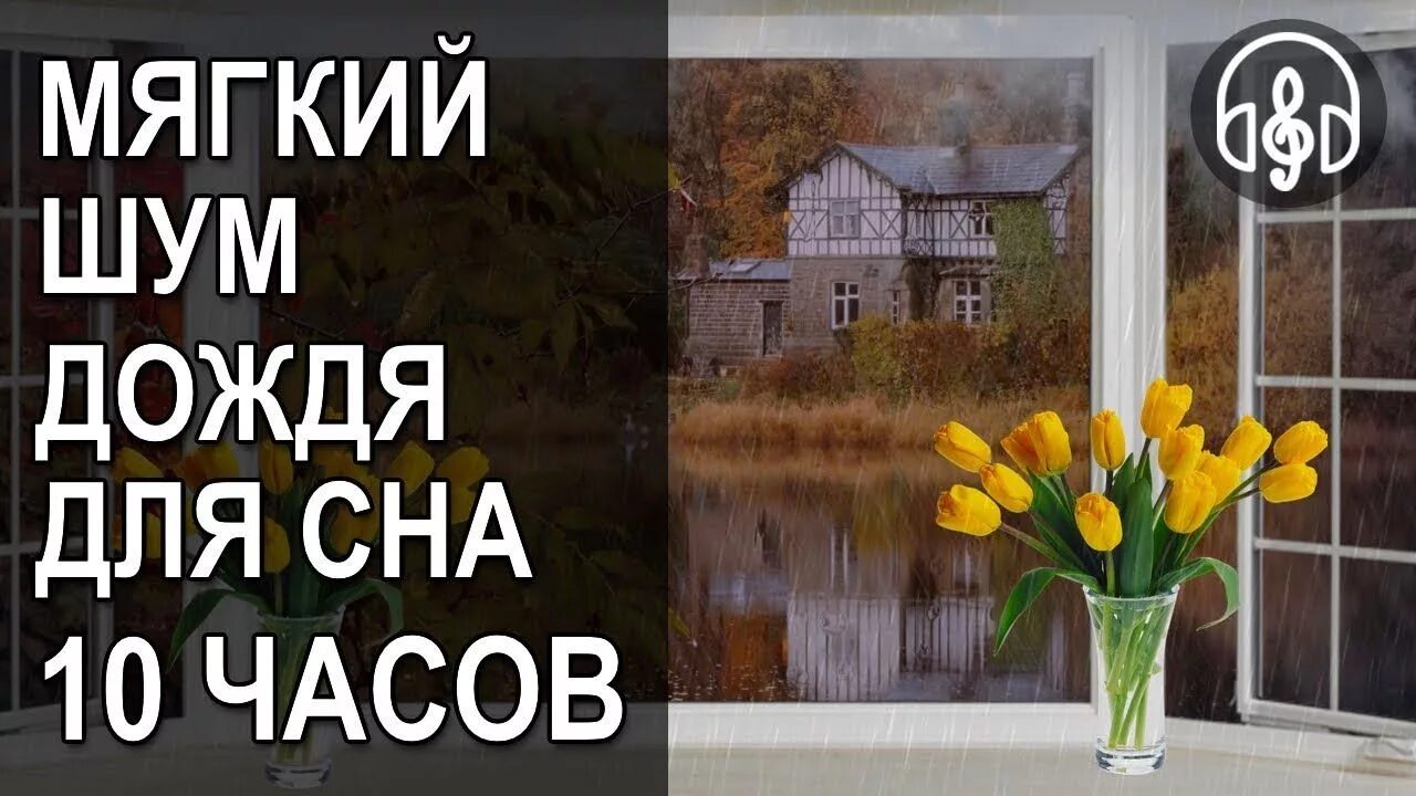 Шум дождя для сна. Дождь релакс для сна. Шум дождя релаксация. Звук дождя для сна. Звон дождя