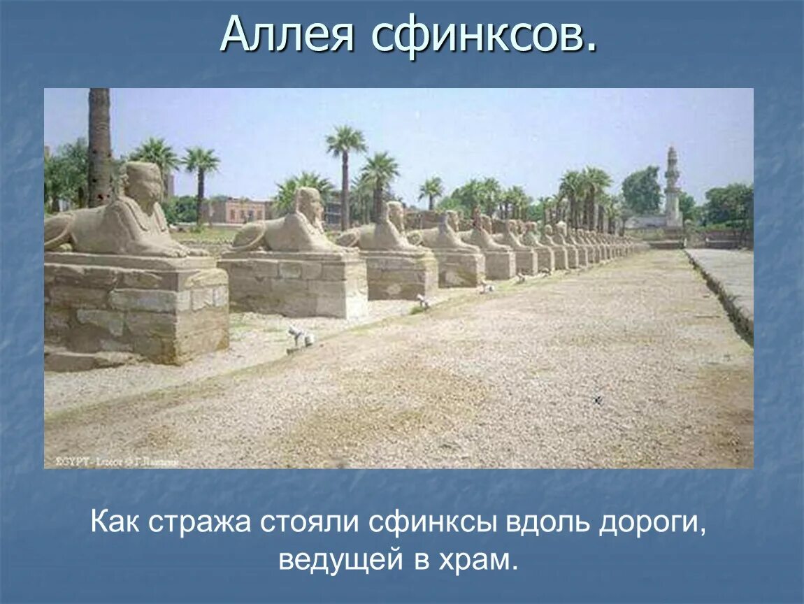 План аллеи сфинксов в египте. Храм в карнаке аллея сфинксов. По истории аллея сфинксов рассказ. Аллея сфинксов храм в дейр. По истории аллея сфинксов рассказ.