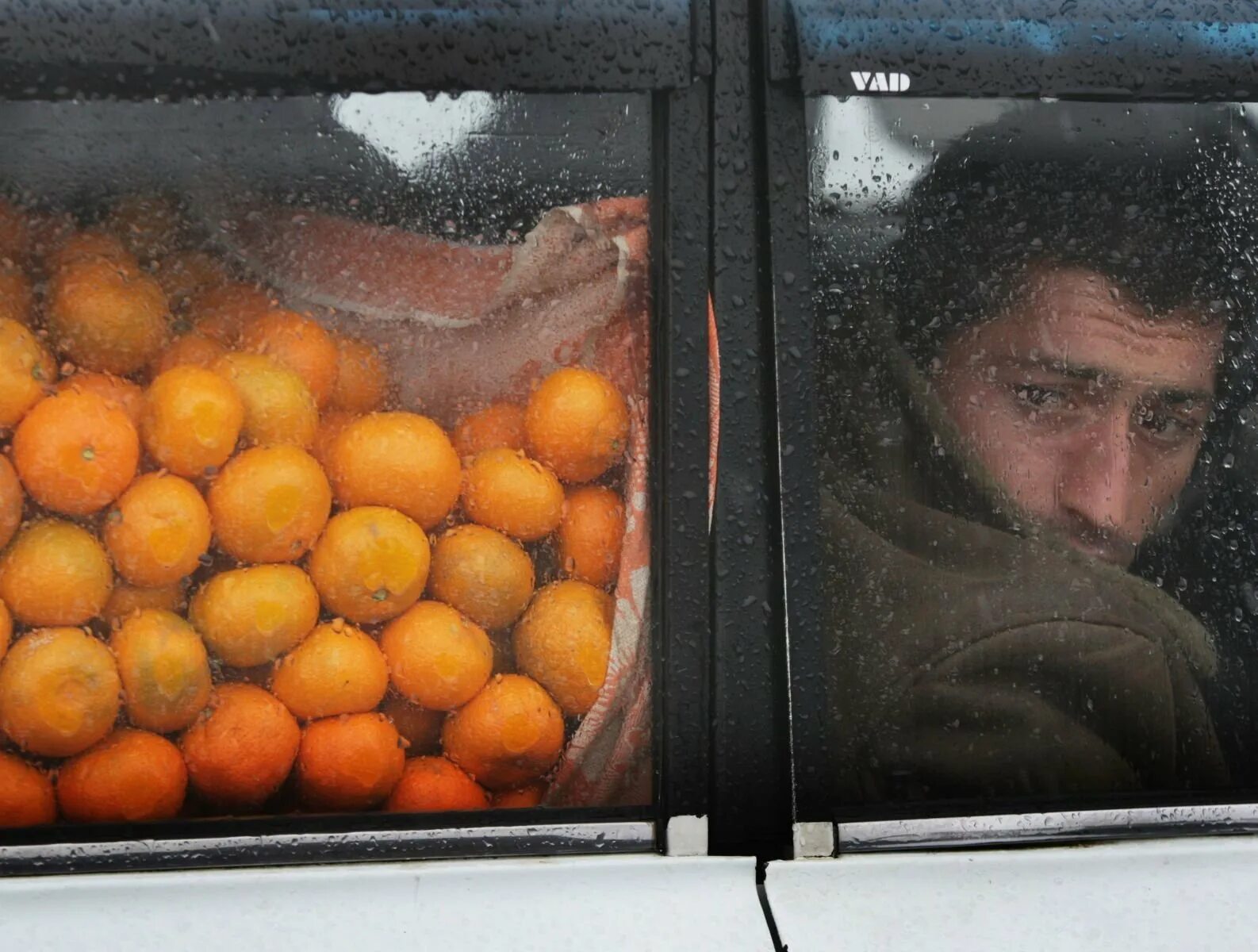 Стою я у витрины смотрю на мандарины. Uzhas мандарин исполнитель. Uzhas мандарин. Смешной апельсин. Человек-мандарин.