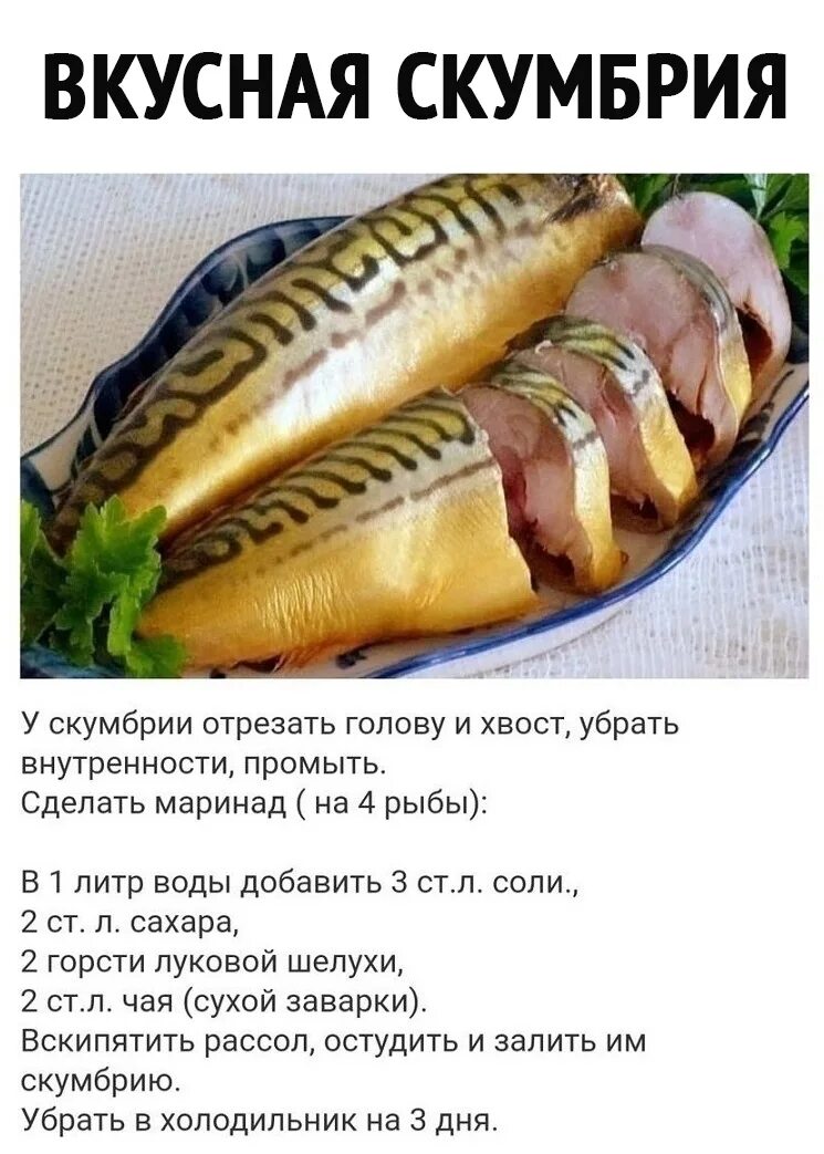 При диабете можно соленую рыбу. Копчение рыбы скумбрия. Скумбрия пальчики оближешь. Рецепт соления скумбрии. Скумбрия копченая.