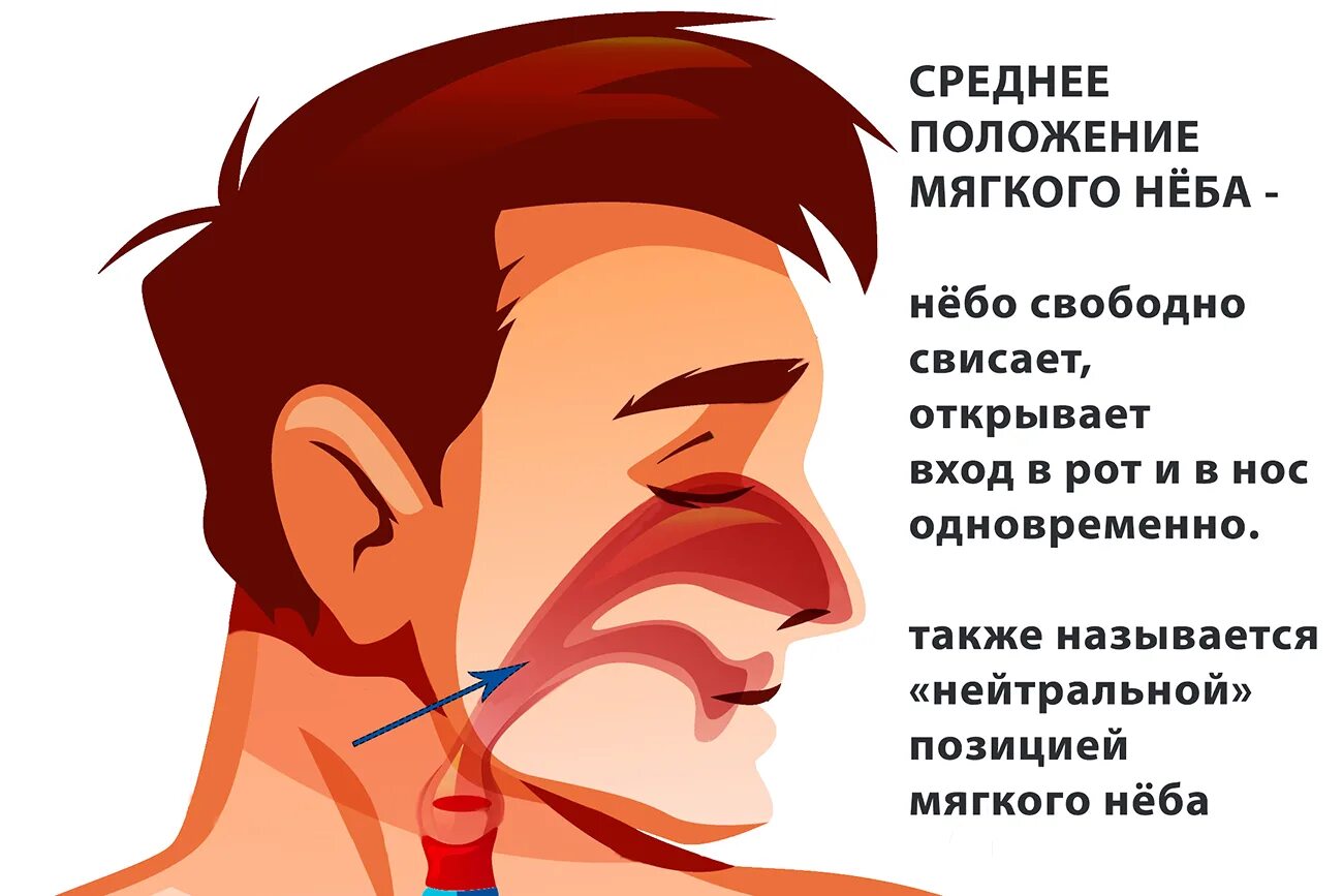 Пение ртом. Позиция в вокале. Положение мягкого неба при пении. Положение рта при вокале. Низкое положение мягкого неба.