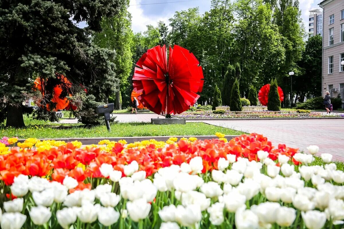 9 мая улица победы. Парк Победы Воронеж. Цветы Победы. Украшение города к 9 мая. Украшение площади к Дню Победы.