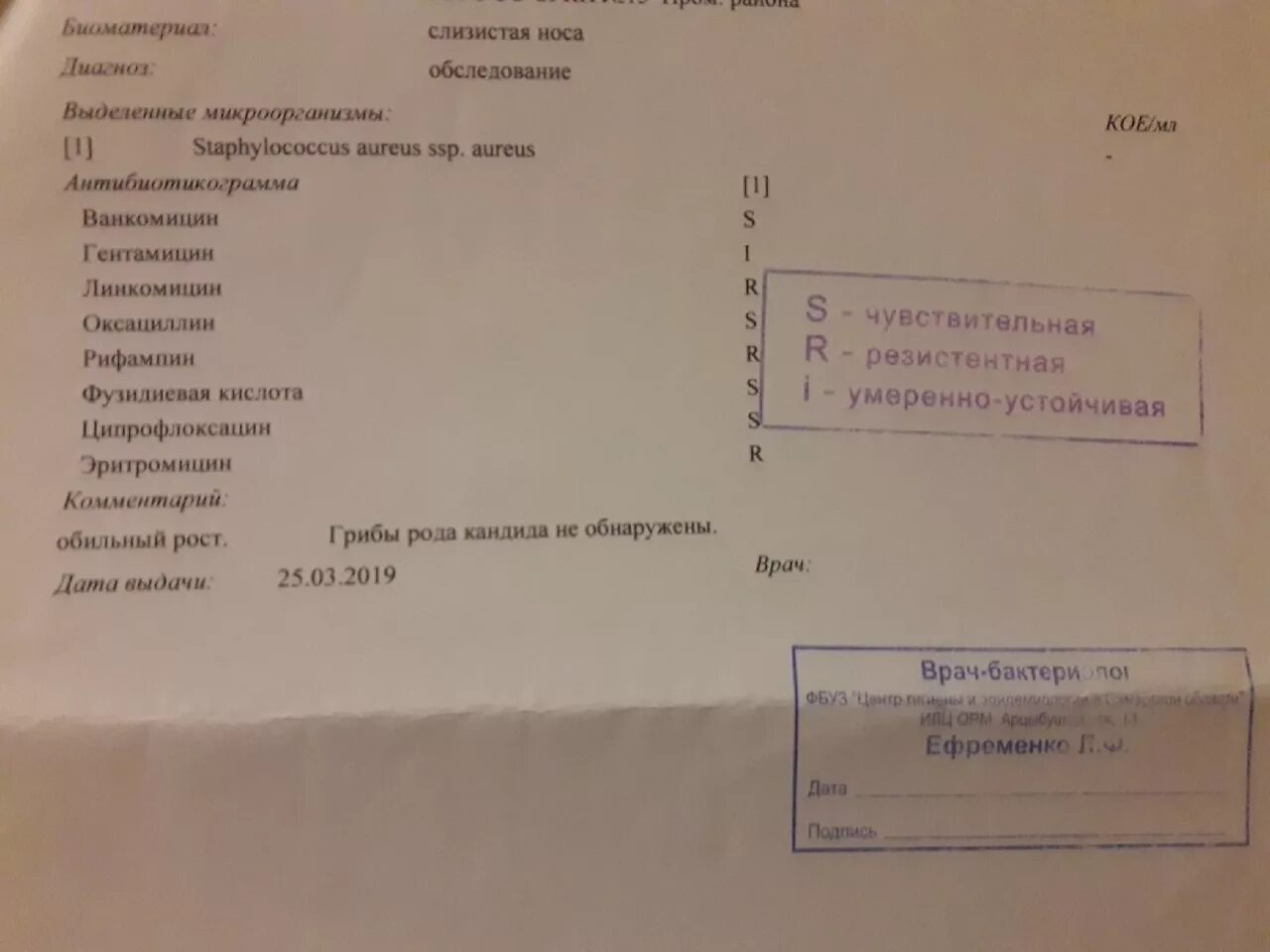 Staphylococcus aureus в носу. Стафилококк из носа норма. Анализ на стафилококк из носа. Мазок из носа на стафилококк норма. Стафилококк aureus в носу.