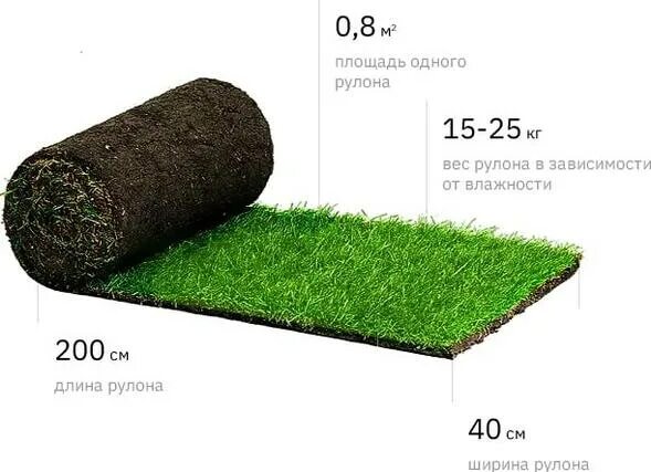 Вес 1 рулона. Рулонный газон вес 1 м2. Вес рулонного газона м2. Вес рулонного газона 200х80. Рулон газона размер.