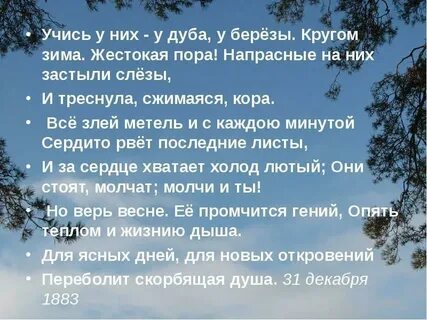 Учить у них у дуба у березы