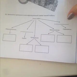 Заполни пропуски в схеме князей
