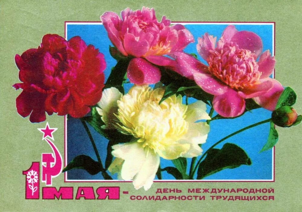 1 мая международный. День международной солидарности трудящихся 1 мая открытки. Советские первомайские открытки. Советские открытки с 1 мая. День международной солидарности трудящихся советские открытки.