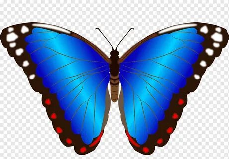 Арық студент сиқты сорады