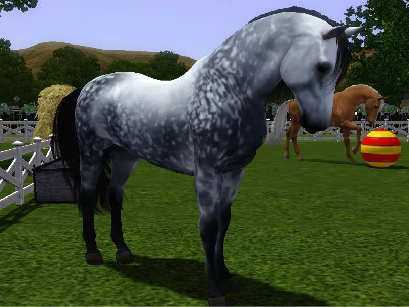 Horse sim. The SIMS 3 питомцы Андалузская лошадь. Симс 3 питомцы лошади. SIMS 4 лошади. SIMS 3 лошади.